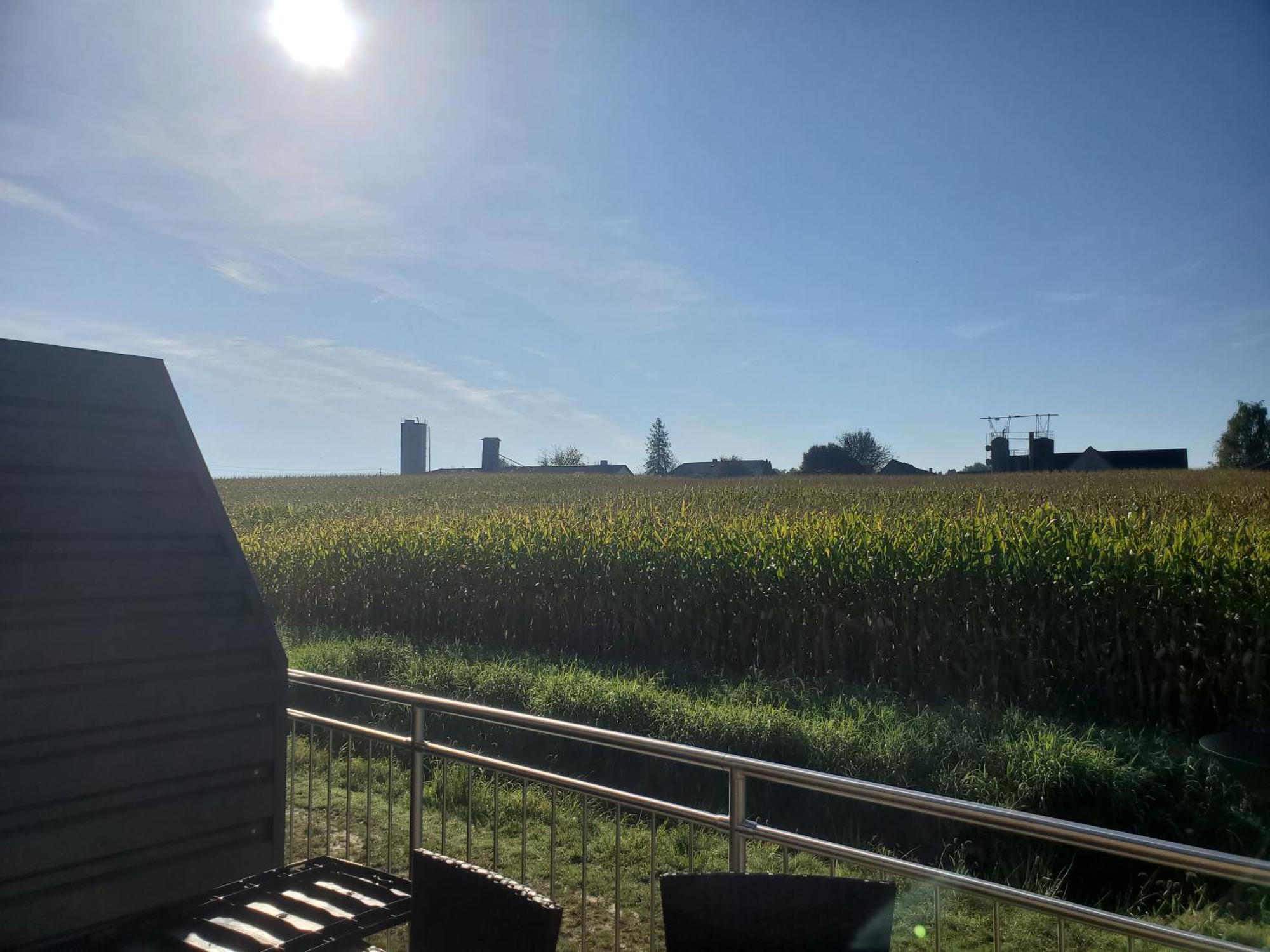 Appartement Herzer Gabersdorf Eksteriør billede